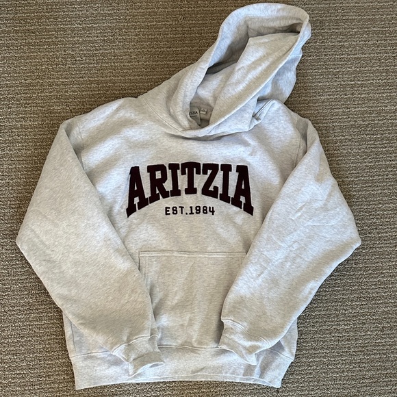 Aritzia Perfect Fit Hoodie - Picture 4 of 8